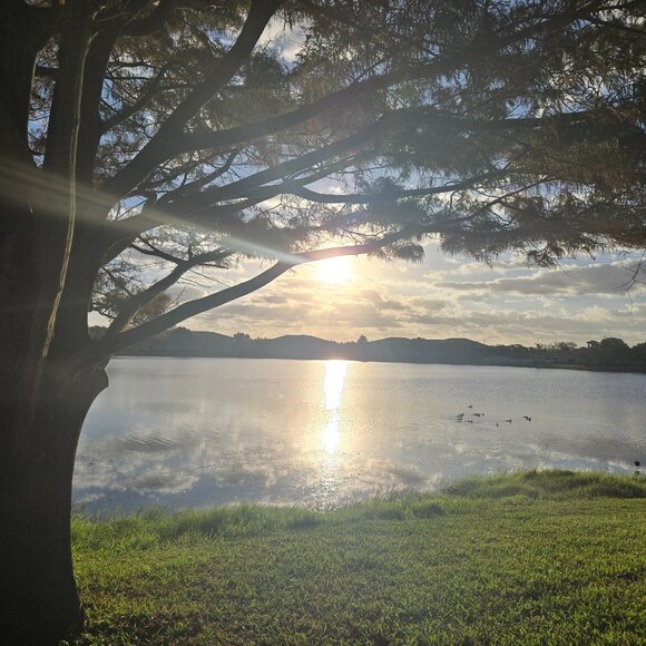 Meet your Posher, Rocio - Picture 1 of 1